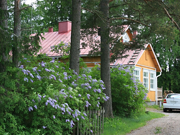 Haapasaarentiet&auml;